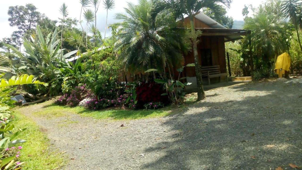 Posada Rio Celeste In Bed & Breakfast ภายนอก รูปภาพ