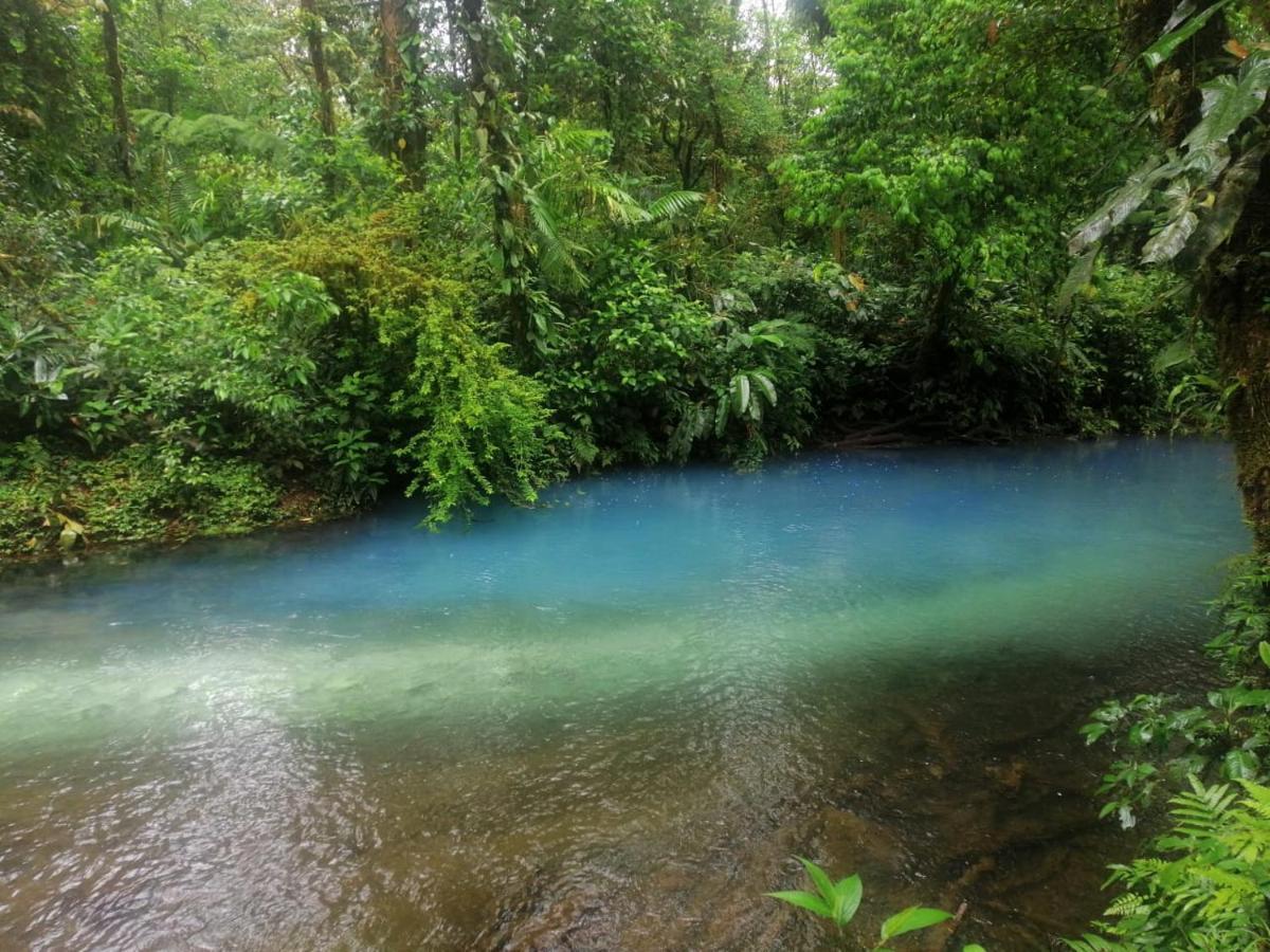 Posada Rio Celeste In Bed & Breakfast ภายนอก รูปภาพ